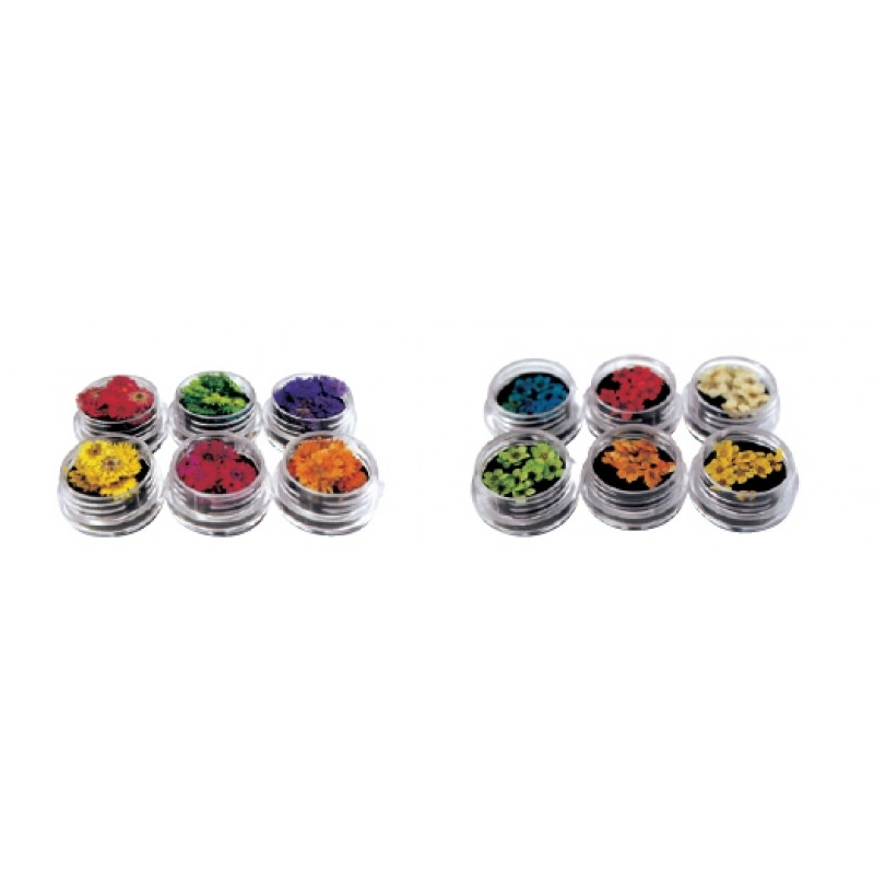 Αποξηραμένα Διακοσμητικά Νυχιών